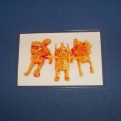 Cei Trei Gardieni Celesti cu sabia inflacarata - card