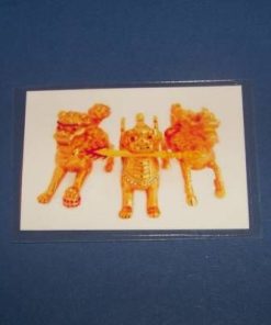 Card Feng Shui - Bivolul si Sobolanul prosperitatii