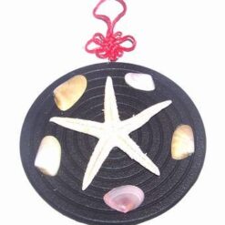 Minitablou Feng Shui cu scoici