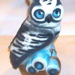 Bufnita succesului academic