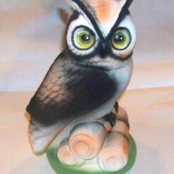 Bufnita succesului la examene, procese si interviuri