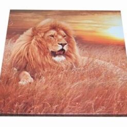 Tablou cu Leul Succesului