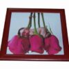 Tablou Feng Shui cu copil si flori de trandafir