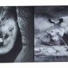 Set de doua tablouri cu rinocer si elefant