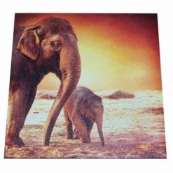 Tablou Feng Shui cu pereche de elefanti