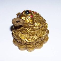 Broasca raioasa pe pepite si monede