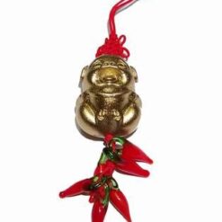 Canaful porcului fericirii cu ardei rosii si Nod Mistic