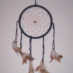 Prinzator de vise - maro